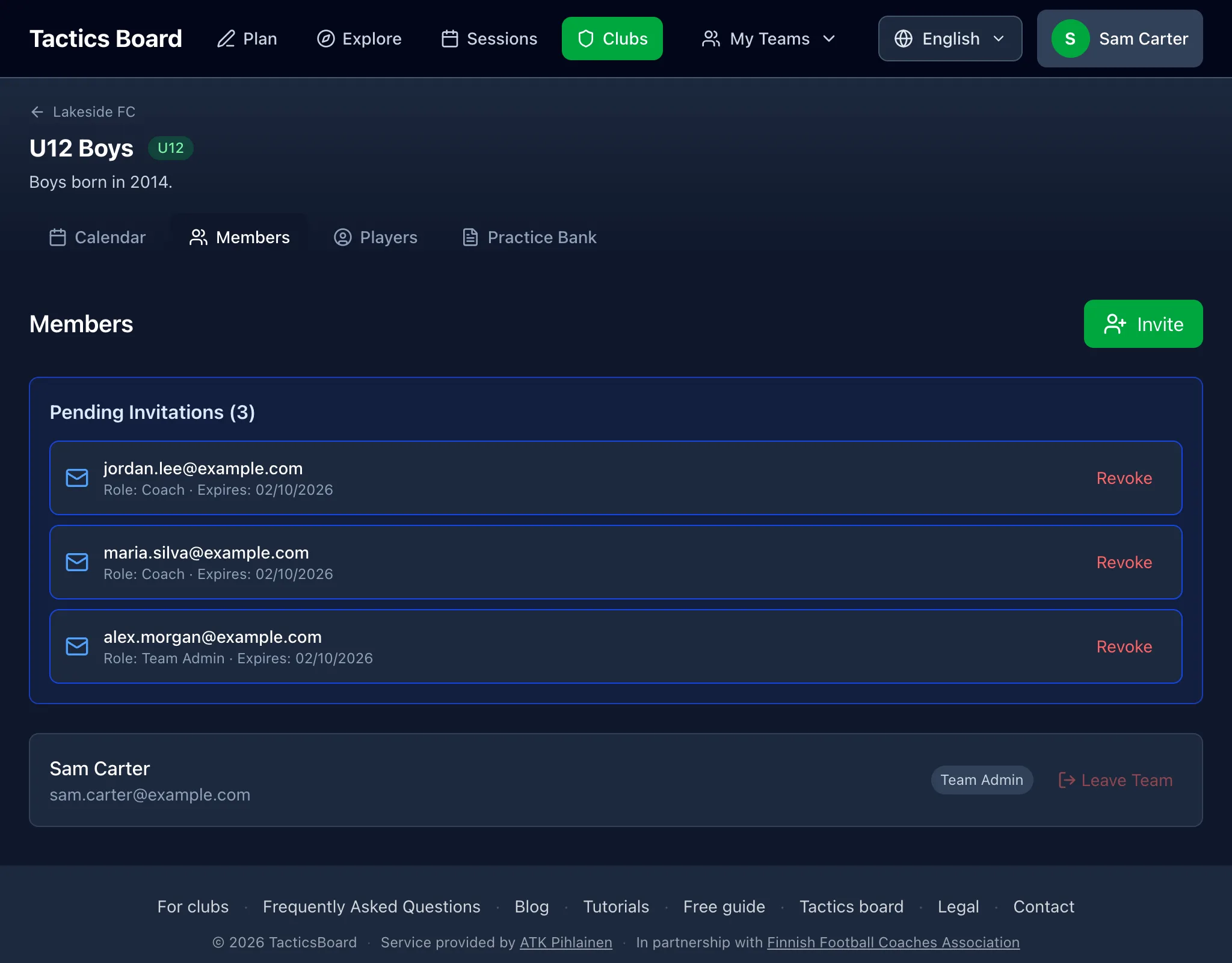 Team members and pending invitations